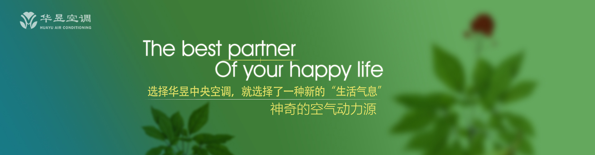 贪赃枉法网